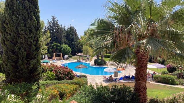 Photo by John M. (9/1/24)