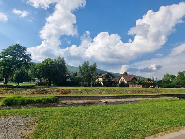 Photo by Sherie R. (6/21/23)