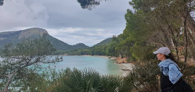 Photo 5 by Doychin D. (4/19/24)