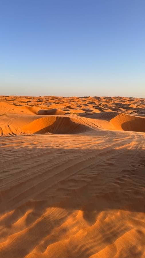 Photo 6 by Silvia R. (4/7/25)