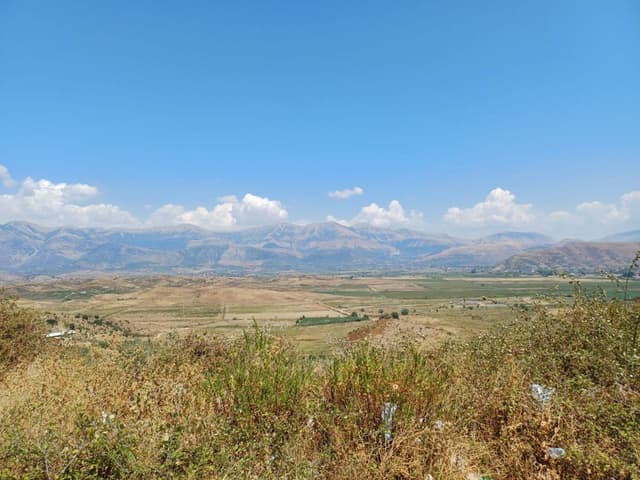 Photo 2 by Dillan S. (8/9/25)