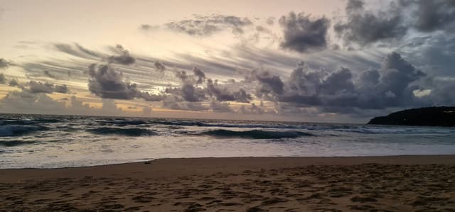 Photo by Rajni D. (8/17/22)