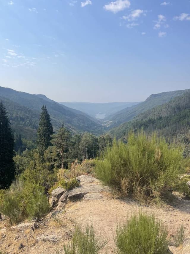 Photo 2 by Heidi H. (8/29/25)