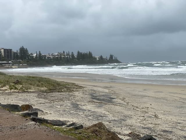 Photo 2 by Emma P. (3/11/25)