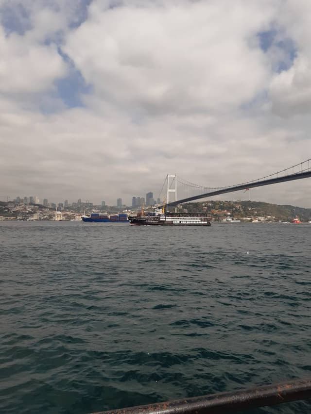 Photo 2 by Richard V. (4/21/25)