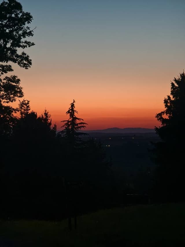 Photo 2 by Ivana C. (5/3/25)