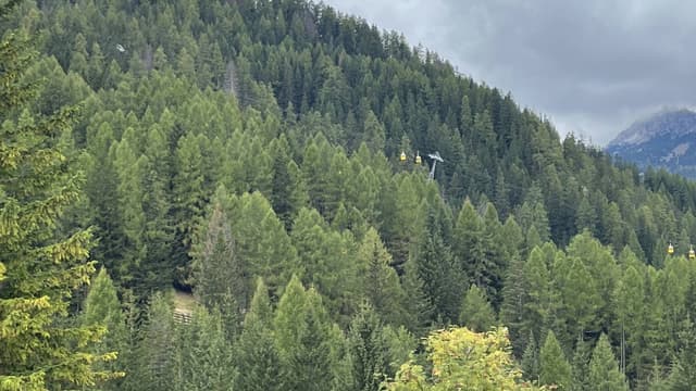 Photo 4 by Barbara M. (10/5/24)