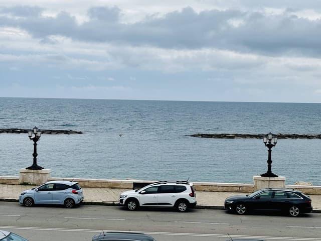 Photo by Hristo S. (4/4/25)