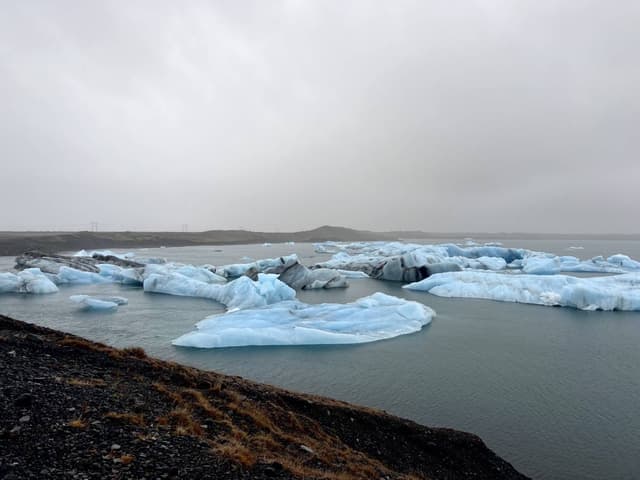 Photo 3 by Jenna H. (11/14/24)