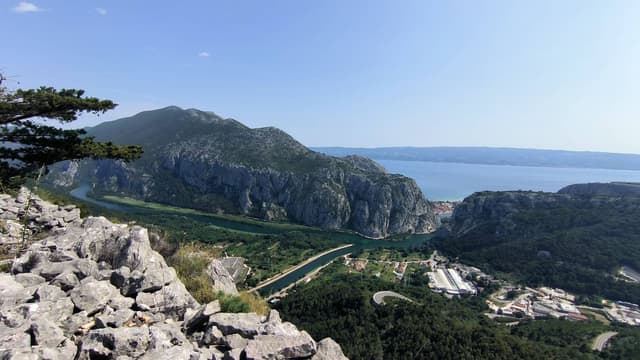 Photo 2 by Willem M. (6/23/23)