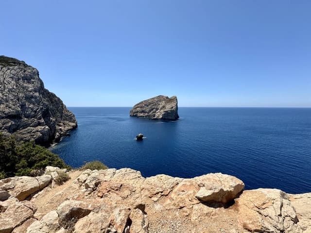 Photo 5 by Jana Z. (7/20/24)