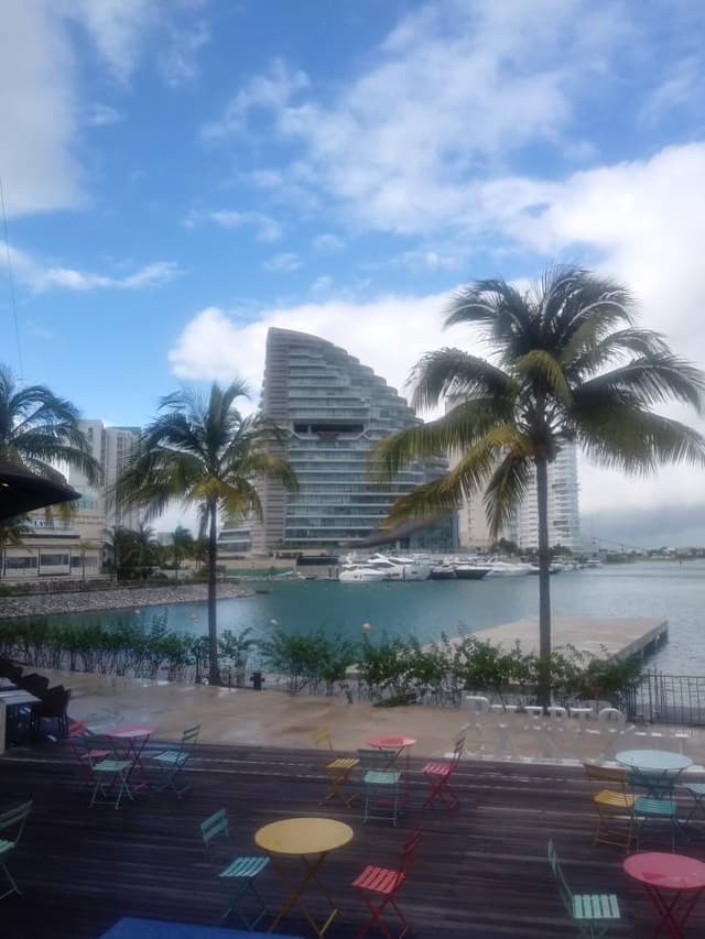 Photo 6 by Denis T. (2/14/24)