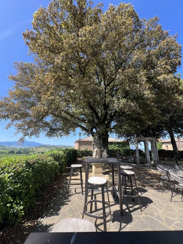 Photo 3 by Cristian M. (6/4/25)