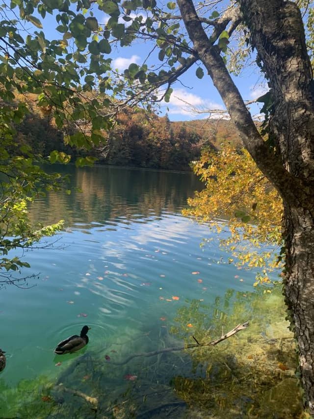 Photo 3 by Germaine R. (10/19/24)