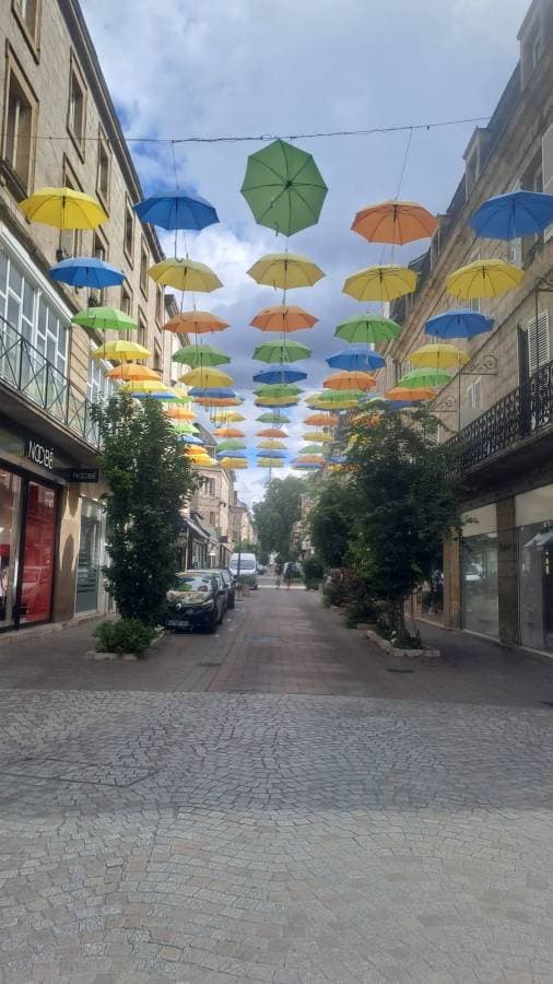 Photo 3 by Robert B. (8/7/25)