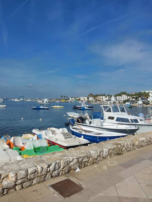 Photo 3 by Peter U. (10/29/24)