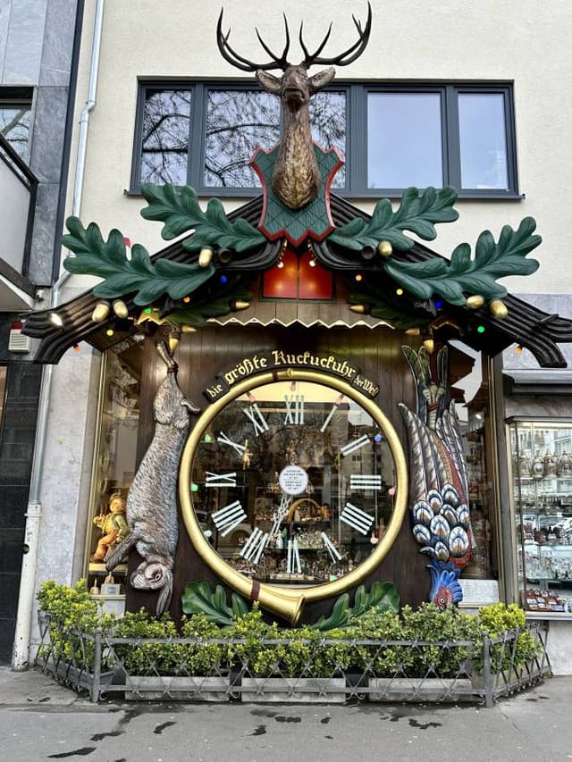 Photo 3 by Robin S. (4/30/24)