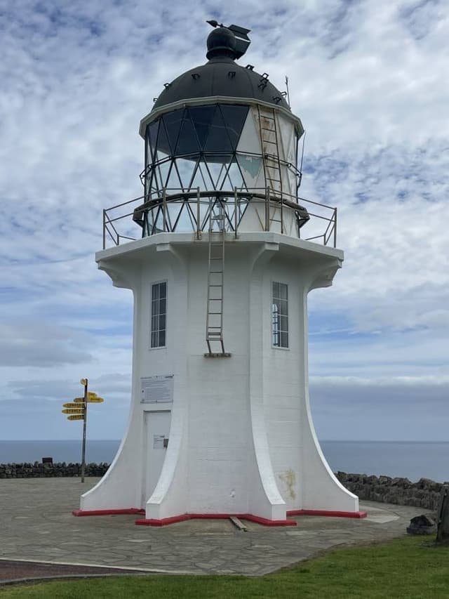 Photo 2 by Malcolm S. (11/3/25)