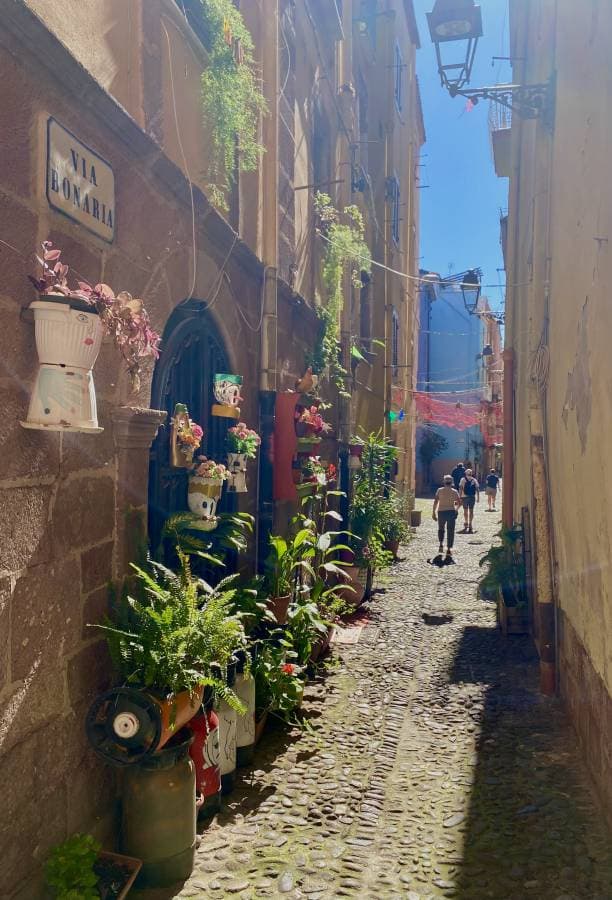 Photo 4 by Peter G. (5/19/25)