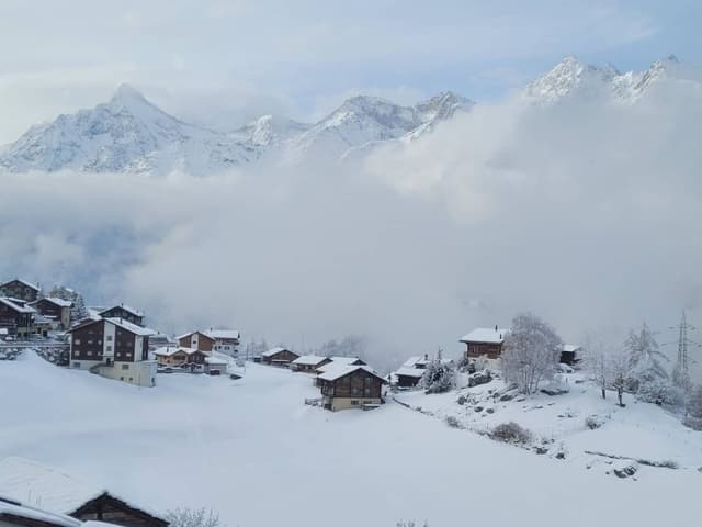 Photo 2 by Bruce W. (1/15/24)