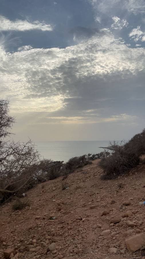 Photo by Mustapha B. (9/30/25)