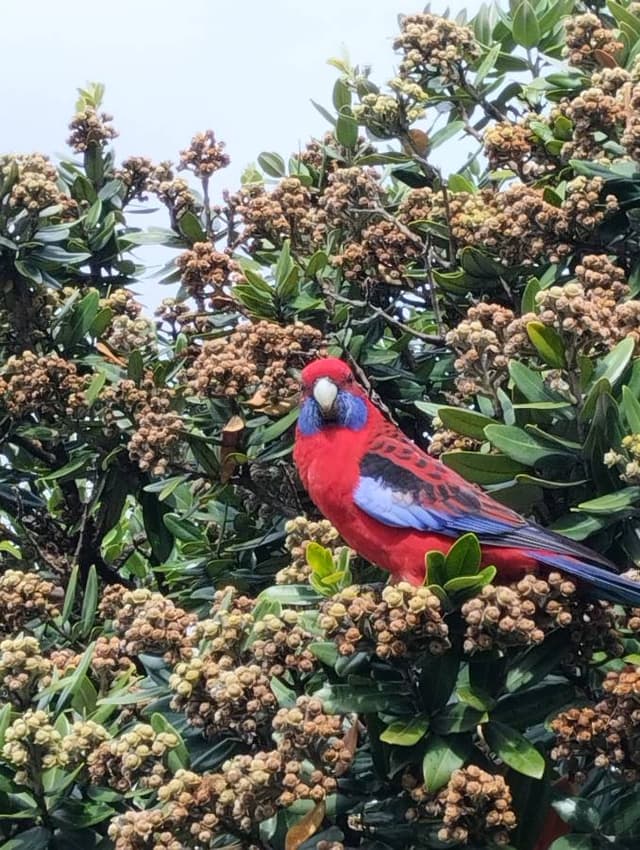 Photo 8 by Michael B. (4/22/24)