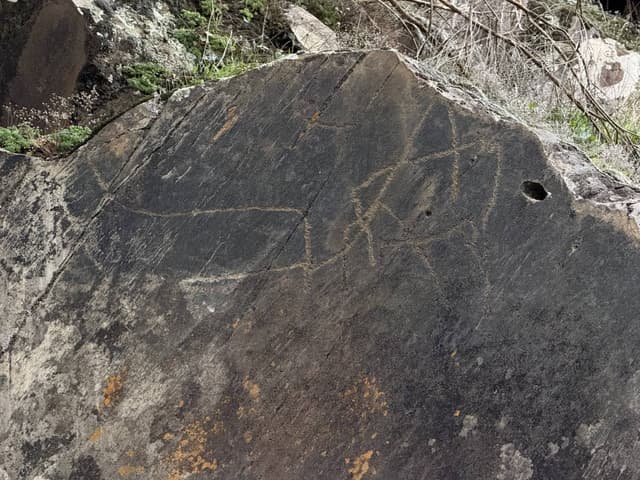 Photo 1 by Joao Carlos N. (11/28/24)