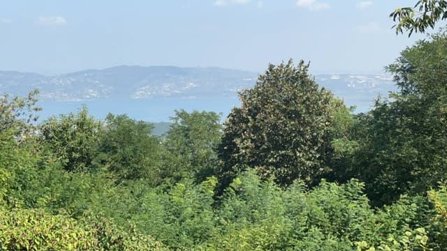 Photo by abdulaziz A. (9/18/24)