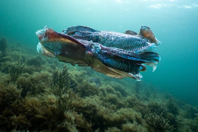 Photo 1 by Peter H. (7/7/25)