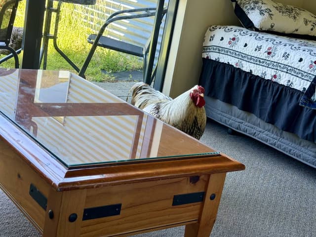 Photo 6 by Jacqueline R. (2/21/26)