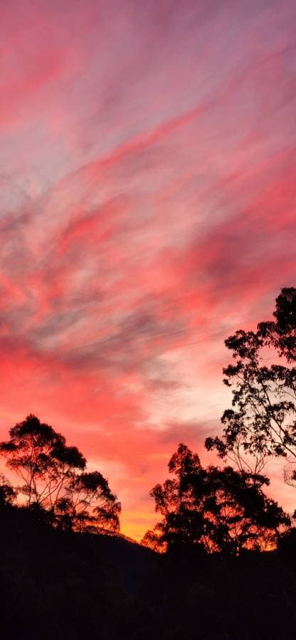 Photo 2 by Helen R. (5/15/25)