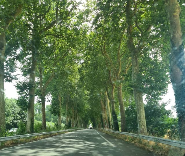 Photo 3 by James R. (7/31/24)