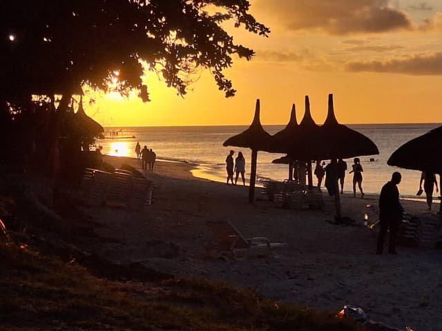 Photo 2 by Lambertus D. (2/16/24)