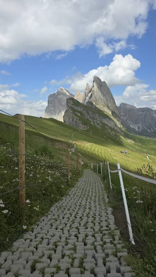 Photo 4 by Phuong T. (8/27/24)