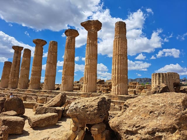 Photo by Hristo H. (5/27/25)