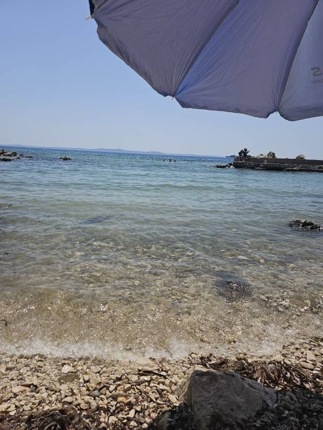 Photo 3 by Anzhela A. (7/11/24)