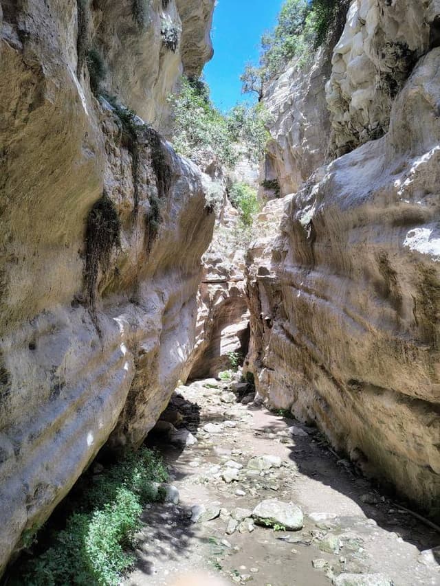 Photo 2 by Stylianos E. (8/26/25)