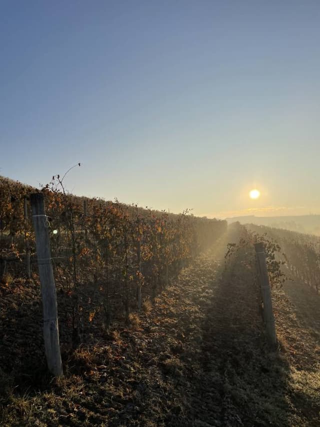 Photo 3 by Tymofii S. (2/2/25)