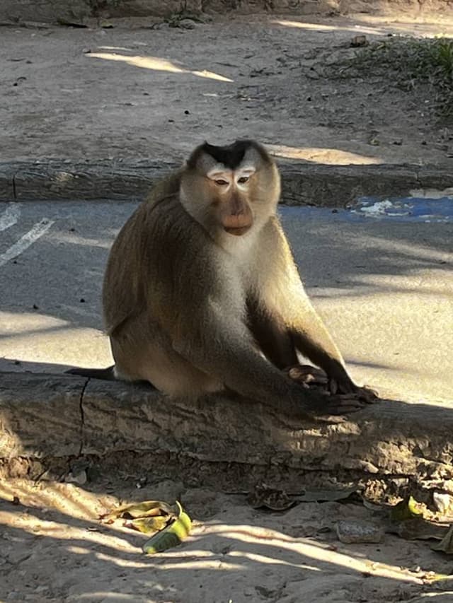 Photo 3 by Douglas R. (12/20/25)