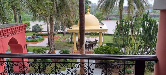 Photo by Ali E. (6/30/25)