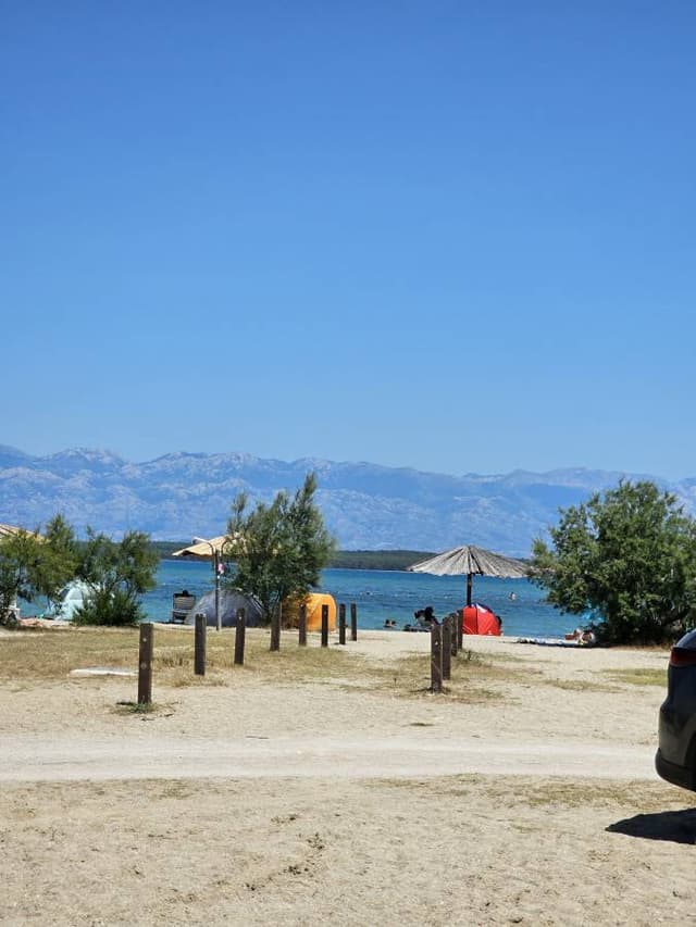 Photo 4 by Anzhela A. (7/11/24)