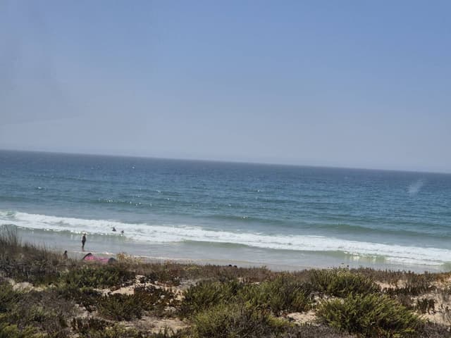 Photo 4 by Marcelo Alexandre C. (8/21/24)