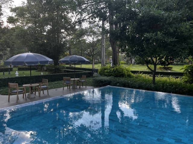 Photo 4 by Douglas R. (12/20/25)