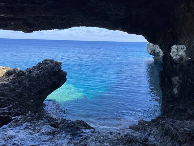 Photo 3 by Carmen Reyes R. (5/6/25)