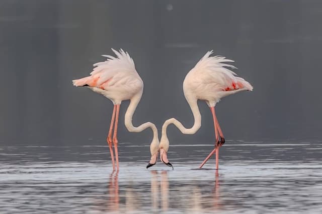 Photo by Michelle A. (5/15/25)