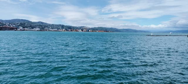 Photo 3 by S M Reazul A. (12/10/23)