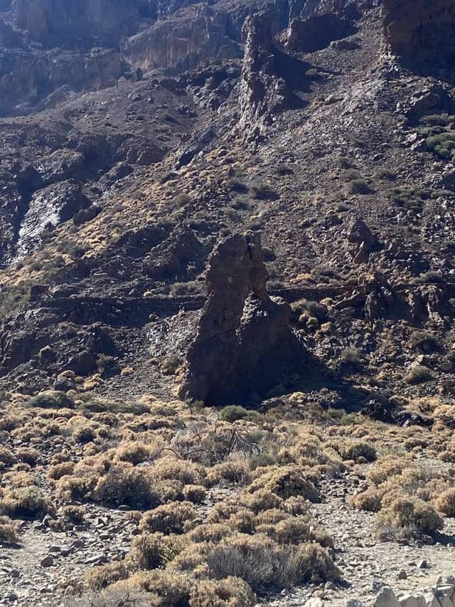 Photo 4 by Roger M. (11/12/24)