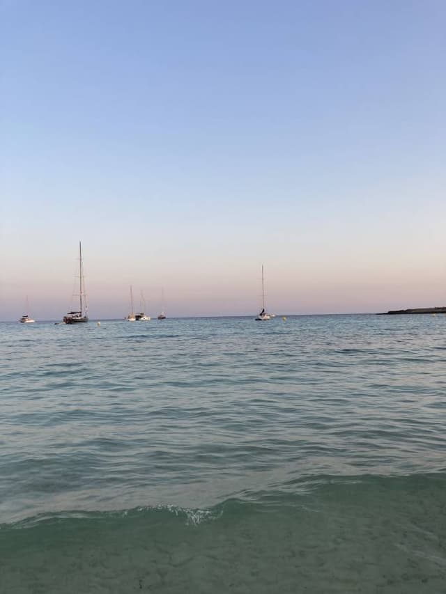 Photo 4 by Paulina K. (7/27/22)