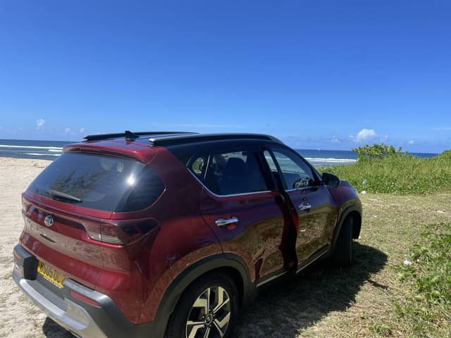 Photo 1 by Anny G. (1/25/25)