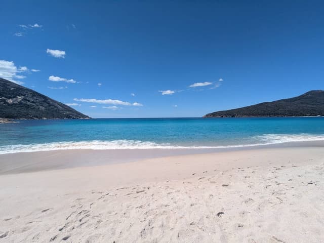 Photo 2 by Bruce D. (12/15/25)